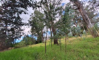 VENTA TERRENO VALLE DE LOS CHILLOS SECTOR LA MERCED