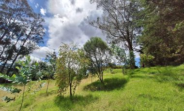 VENTA TERRENO VALLE DE LOS CHILLOS SECTOR LA MERCED