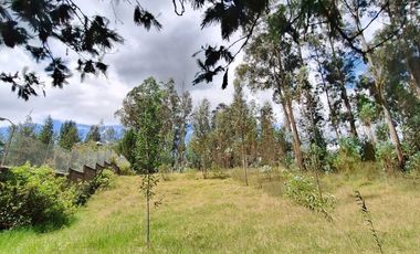 VENTA TERRENO VALLE DE LOS CHILLOS SECTOR LA MERCED