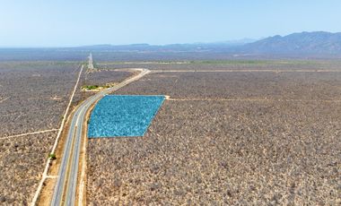 Terreno de 2 has en el cruce de San Pedro a metros de las carretera federal a La Paz