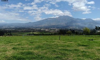 Galpón de venta en Otavalo sector Pinsaqui, 2.500 m2