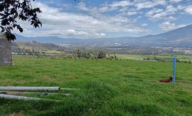 Galpón de venta en Otavalo sector Pinsaqui, 2.500 m2