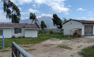 Galpón de venta en Otavalo sector Pinsaqui, 2.500 m2