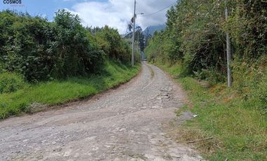 Galpón de venta en Otavalo sector Pinsaqui, 2.500 m2