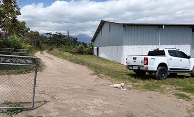 Galpón de venta en Otavalo sector Pinsaqui, 2.500 m2