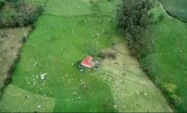 VENDO FINCA EN VEREDA LÁZARO FONTE, PASCA CUNDINAMARCA