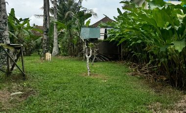 15.6 ARE SAYAN LAND FOR LEASE AT 4.5JT/ARE