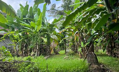 15.6 ARE SAYAN LAND FOR LEASE AT 4.5JT/ARE