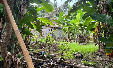 15.6 ARE SAYAN LAND FOR LEASE AT 4.5JT/ARE