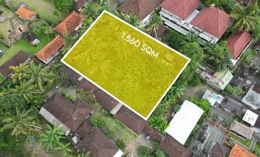 15.6 ARE SAYAN LAND FOR LEASE AT 4.5JT/ARE