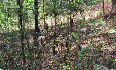 TERRENO EN LA ESTANZUELA, MINERAL DEL CHICO TOTALMENTE BOSCOSO CON VISTA PANORÁMICA