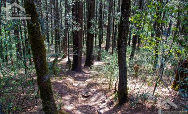 TERRENO EN LA ESTANZUELA, MINERAL DEL CHICO TOTALMENTE BOSCOSO CON VISTA PANORÁMICA