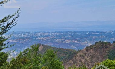 TERRENO EN LA ESTANZUELA, MINERAL DEL CHICO TOTALMENTE BOSCOSO CON VISTA PANORÁMICA