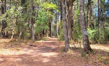 TERRENO EN LA ESTANZUELA, MINERAL DEL CHICO TOTALMENTE BOSCOSO CON VISTA PANORÁMICA