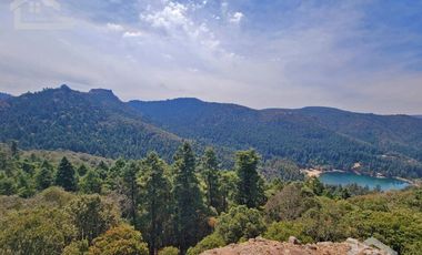 TERRENO EN LA ESTANZUELA, MINERAL DEL CHICO TOTALMENTE BOSCOSO CON VISTA PANORÁMICA