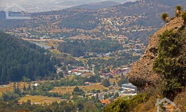 TERRENO EN LA ESTANZUELA, MINERAL DEL CHICO TOTALMENTE BOSCOSO CON VISTA PANORÁMICA