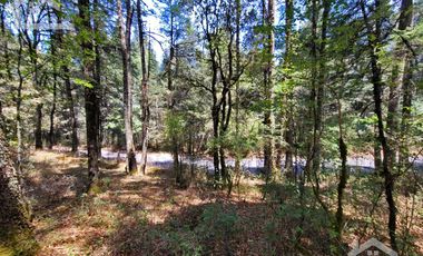 TERRENO EN LA ESTANZUELA, MINERAL DEL CHICO TOTALMENTE BOSCOSO CON VISTA PANORÁMICA