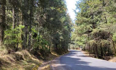 TERRENO EN LA ESTANZUELA, MINERAL DEL CHICO TOTALMENTE BOSCOSO CON VISTA PANORÁMICA