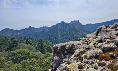 TERRENO EN LA ESTANZUELA, MINERAL DEL CHICO TOTALMENTE BOSCOSO CON VISTA PANORÁMICA