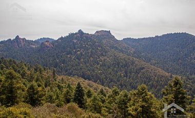 TERRENO EN LA ESTANZUELA, MINERAL DEL CHICO TOTALMENTE BOSCOSO CON VISTA PANORÁMICA