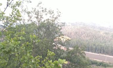 Se vende parcela en un entorno natural en camino lo Orozco