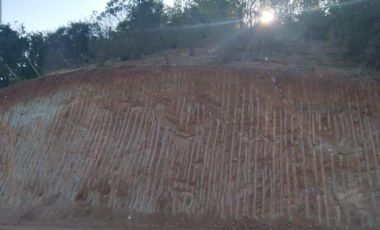 Se vende parcela en un entorno natural en camino lo Orozco