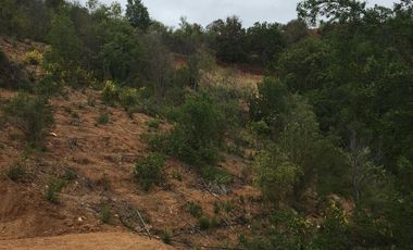 Se vende parcela en un entorno natural en camino lo Orozco