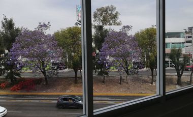OFICINAS NUEVAS  300 M2, CORREDOR COMERCIAL, EN ESQUINA   COL. LA PAZ FRENTE A ESTACION DE METROBÚS Y COMERCIOS