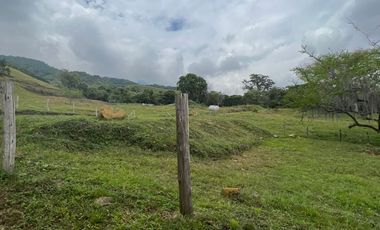 PALMIRA LOTE EN SANTA ELENA