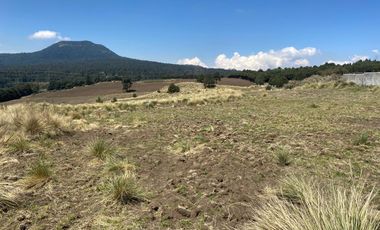 Gran Terreno en Venta, ubicado en el Paraje de Hueyametla – Las Cruces del Poblado de Santo Tomas Ajusco, Cuenta con una superficie de: 10 Hectáreas. 