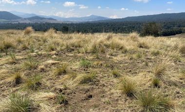 Gran Terreno en Venta, ubicado en el Paraje de Hueyametla – Las Cruces del Poblado de Santo Tomas Ajusco, Cuenta con una superficie de: 10 Hectáreas. 