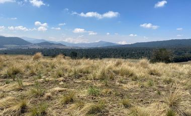 Gran Terreno en Venta, ubicado en el Paraje de Hueyametla – Las Cruces del Poblado de Santo Tomas Ajusco, Cuenta con una superficie de: 10 Hectáreas. 