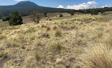 Gran Terreno en Venta, ubicado en el Paraje de Hueyametla – Las Cruces del Poblado de Santo Tomas Ajusco, Cuenta con una superficie de: 10 Hectáreas. 