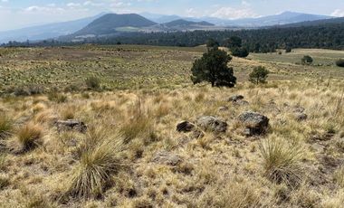 Gran Terreno en Venta, ubicado en el Paraje de Hueyametla – Las Cruces del Poblado de Santo Tomas Ajusco, Cuenta con una superficie de: 10 Hectáreas. 