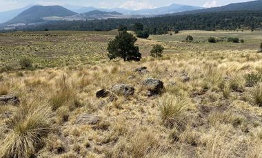 Gran Terreno en Venta, ubicado en el Paraje de Hueyametla – Las Cruces del Poblado de Santo Tomas Ajusco, Cuenta con una superficie de: 10 Hectáreas. 