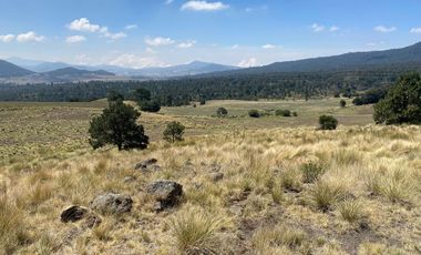 Gran Terreno en Venta, ubicado en el Paraje de Hueyametla – Las Cruces del Poblado de Santo Tomas Ajusco, Cuenta con una superficie de: 10 Hectáreas. 