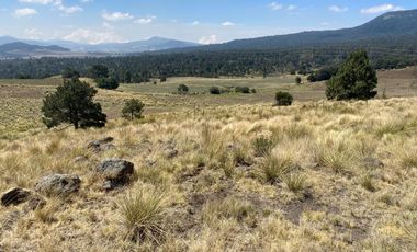 Gran Terreno en Venta, ubicado en el Paraje de Hueyametla – Las Cruces del Poblado de Santo Tomas Ajusco, Cuenta con una superficie de: 10 Hectáreas. 