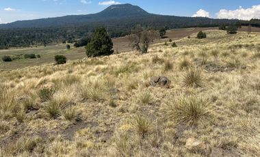 Gran Terreno en Venta, ubicado en el Paraje de Hueyametla – Las Cruces del Poblado de Santo Tomas Ajusco, Cuenta con una superficie de: 10 Hectáreas. 