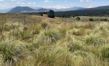 Gran Terreno en Venta, ubicado en el Paraje de Hueyametla – Las Cruces del Poblado de Santo Tomas Ajusco, Cuenta con una superficie de: 10 Hectáreas. 