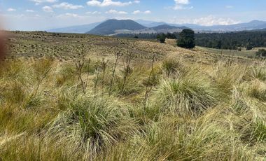 Gran Terreno en Venta, ubicado en el Paraje de Hueyametla – Las Cruces del Poblado de Santo Tomas Ajusco, Cuenta con una superficie de: 10 Hectáreas. 
