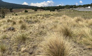 Gran Terreno en Venta, ubicado en el Paraje de Hueyametla – Las Cruces del Poblado de Santo Tomas Ajusco, Cuenta con una superficie de: 10 Hectáreas. 