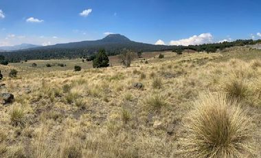 Gran Terreno en Venta, ubicado en el Paraje de Hueyametla – Las Cruces del Poblado de Santo Tomas Ajusco, Cuenta con una superficie de: 10 Hectáreas. 