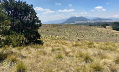 Gran Terreno en Venta, ubicado en el Paraje de Hueyametla – Las Cruces del Poblado de Santo Tomas Ajusco, Cuenta con una superficie de: 10 Hectáreas. 