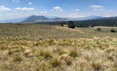 Gran Terreno en Venta, ubicado en el Paraje de Hueyametla – Las Cruces del Poblado de Santo Tomas Ajusco, Cuenta con una superficie de: 10 Hectáreas. 