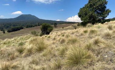 Gran Terreno en Venta, ubicado en el Paraje de Hueyametla – Las Cruces del Poblado de Santo Tomas Ajusco, Cuenta con una superficie de: 10 Hectáreas. 
