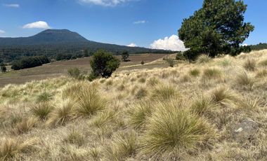 Gran Terreno en Venta, ubicado en el Paraje de Hueyametla – Las Cruces del Poblado de Santo Tomas Ajusco, Cuenta con una superficie de: 10 Hectáreas. 