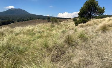 Gran Terreno en Venta, ubicado en el Paraje de Hueyametla – Las Cruces del Poblado de Santo Tomas Ajusco, Cuenta con una superficie de: 10 Hectáreas. 