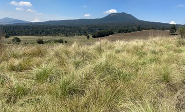 Gran Terreno en Venta, ubicado en el Paraje de Hueyametla – Las Cruces del Poblado de Santo Tomas Ajusco, Cuenta con una superficie de: 10 Hectáreas. 