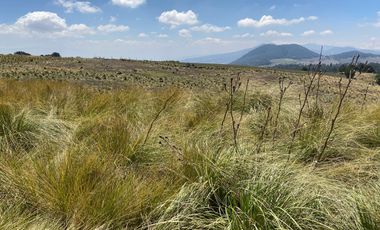 Gran Terreno en Venta, ubicado en el Paraje de Hueyametla – Las Cruces del Poblado de Santo Tomas Ajusco, Cuenta con una superficie de: 10 Hectáreas. 