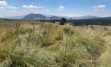 Gran Terreno en Venta, ubicado en el Paraje de Hueyametla – Las Cruces del Poblado de Santo Tomas Ajusco, Cuenta con una superficie de: 10 Hectáreas. 